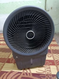 كونفيره • جديدة • ريمونة