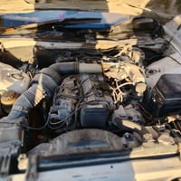 مارك نفخ • مصبوغه • مكفوله