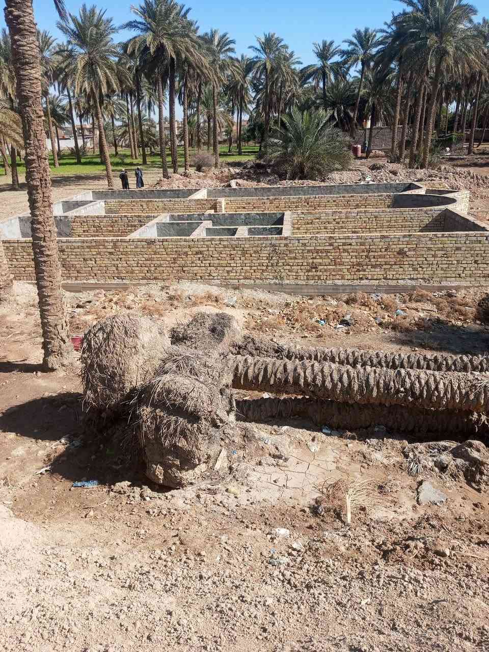 سلام عليكم ورحمه الله وبركاته 
ارض زراعيه المساحه 600متر
بيها بتلو مبني مساحه البتلو 230متر 

علما أن المشتري مخير يريد البتلو أو يريد 100او 200

طابو زراعي سند 25 
خدمات فول ماء كهرباء تبليط  
العنوان شارع الطهمازيه صعده الروائي مال البشوكان قرب مركز سيف سعد 

***********////ابو علوش ☎️☎️👉👉
