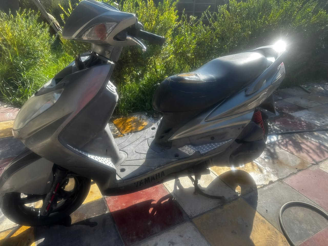 البيع فحل كبريتركفاله مكان بابل ***********
