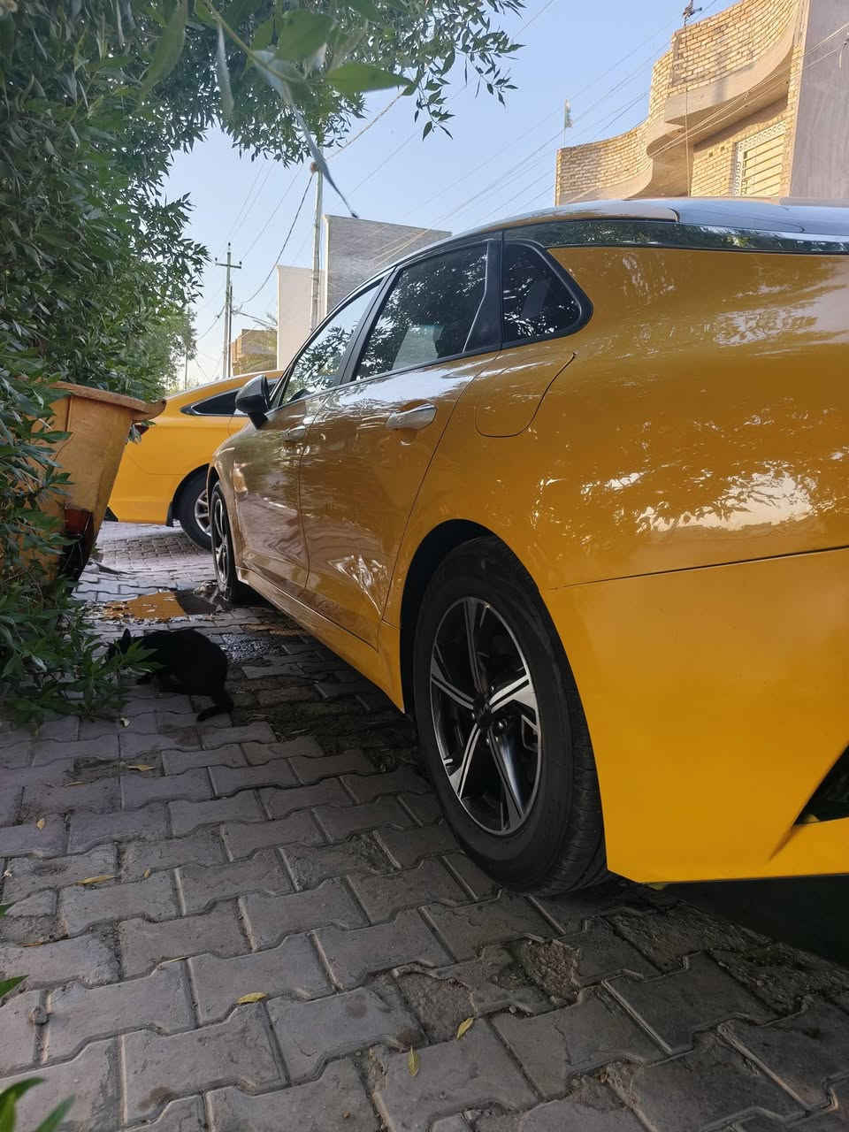سلام عليكم كي فايف 2022  رقم واسط بسمي السعر 185 فقط شراي ينتصل مكان السياره كوت***********
