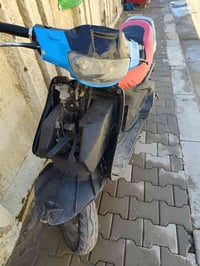 فراشه • فحل • نضيفه