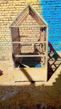 قفص • قراءة وكتابة • ميسان