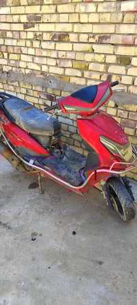 سكنس • صيني • تجفيت