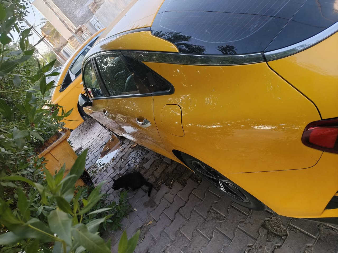 سلام عليكم كي فايف 2022  رقم واسط بسمي السعر 185 فقط شراي ينتصل مكان السياره كوت***********
