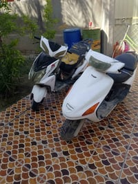 فراشة • سكنس • بابل