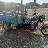 ستوته • ١٥ • سنوية