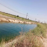 اليوسفية بغداد • ٥دونم • طابو زراعي