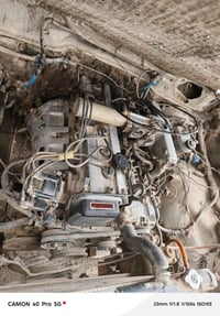 شباب مكينه وكير ونجي كامله هية وتفرعاتهة كبل جيب وشد الشراي يخابر ويدل...