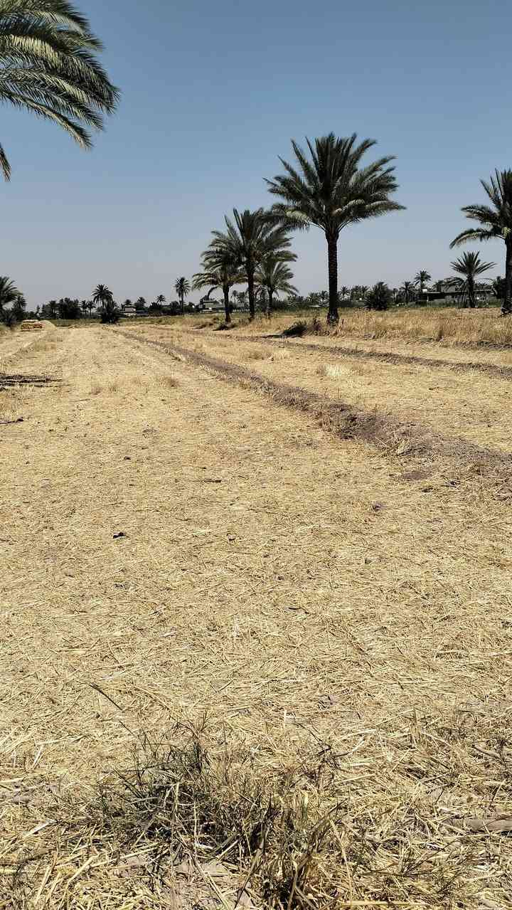 دونمين للبيع  خدمات ماي رساله زائدا الكهرباء تبعد عن الشارع الرئيسي 50 متر على شارع عرض سته امتار قريبه مستشفى ابو غريب خمسه دقائق رقم التلفون *********** رقم الرقم الثاني *********** بي واتساب
