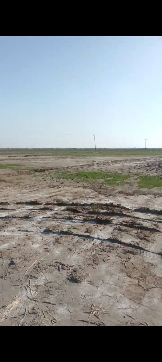 17دونم لبيع
#ماي وكهرباء موجود

لأرض طابو مداور 

في الهلال على طريق المجد نزلة سيد احمد تبعد عن الشارع العام كيلوين ونص الها نزلة سبيس 

سعر الدونم مليون و 200 الف  مستعجل ع بيعتها

الشراي يراسلني خاص


**إذا كنت صاحب هذا الإعلان وتريد حذفه لأي سبب، رجاءا أرسل رسالة إلى الدعم الفني**