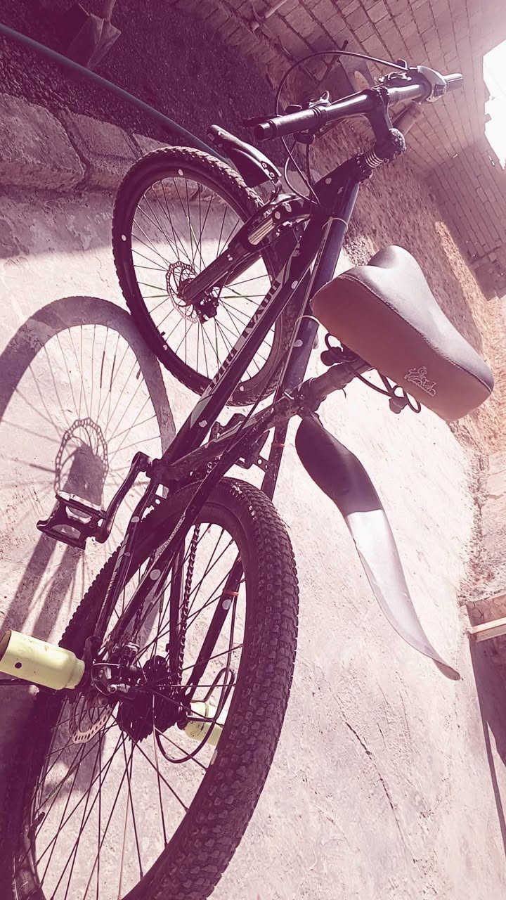 بوسكل جبلي نوعيه فول السعر 90وبي مجال مكاني بيجي الحجاج   الخاص مفتوح


**إذا كنت صاحب هذا الإعلان وتريد حذفه لأي سبب، رجاءا أرسل رسالة إلى الدعم الفني**