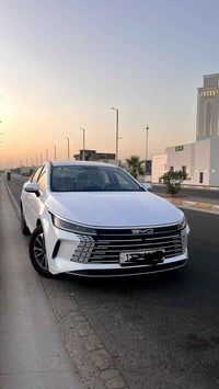 بي واي دي • ديستروير • ٢٠٢٤