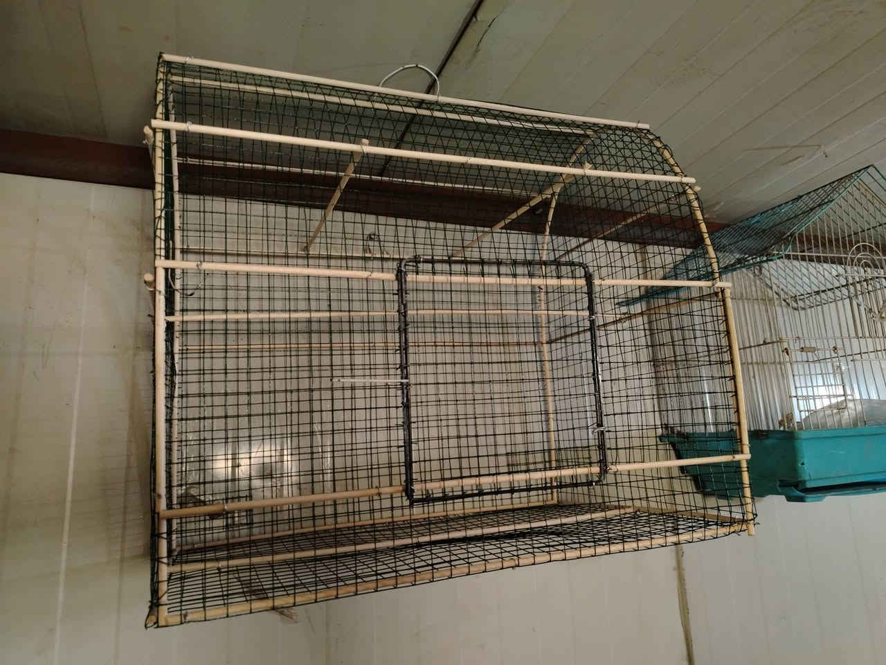 السلام عليكم٣ اقفاص للبيع واحد قفص صياد ٣ مصاييد بي سعر ٢٥ والثاني خانه سعره ١٣ والثالث قفص بلبل  سعره ١٠ بغداد حي العامل قرب دائره الكهرباء ***********
