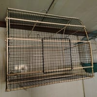 ٣ اقفاص للبيع واحد قفص صياد ٣ مصاييد بي سعر ٢٥ والثاني خانه سعره ١٣ وا...