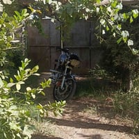 سيفان • ٢٠٢٤ • تاير خلفي تعبان