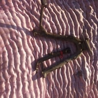 غراض سايم بطح للبيع   كلهن نضاف وشغالات 07864113740