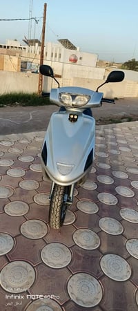 للبيع فراشة 07824562583