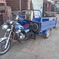 موديل 2023 • أوراق كاملة • سوك الشيوخ