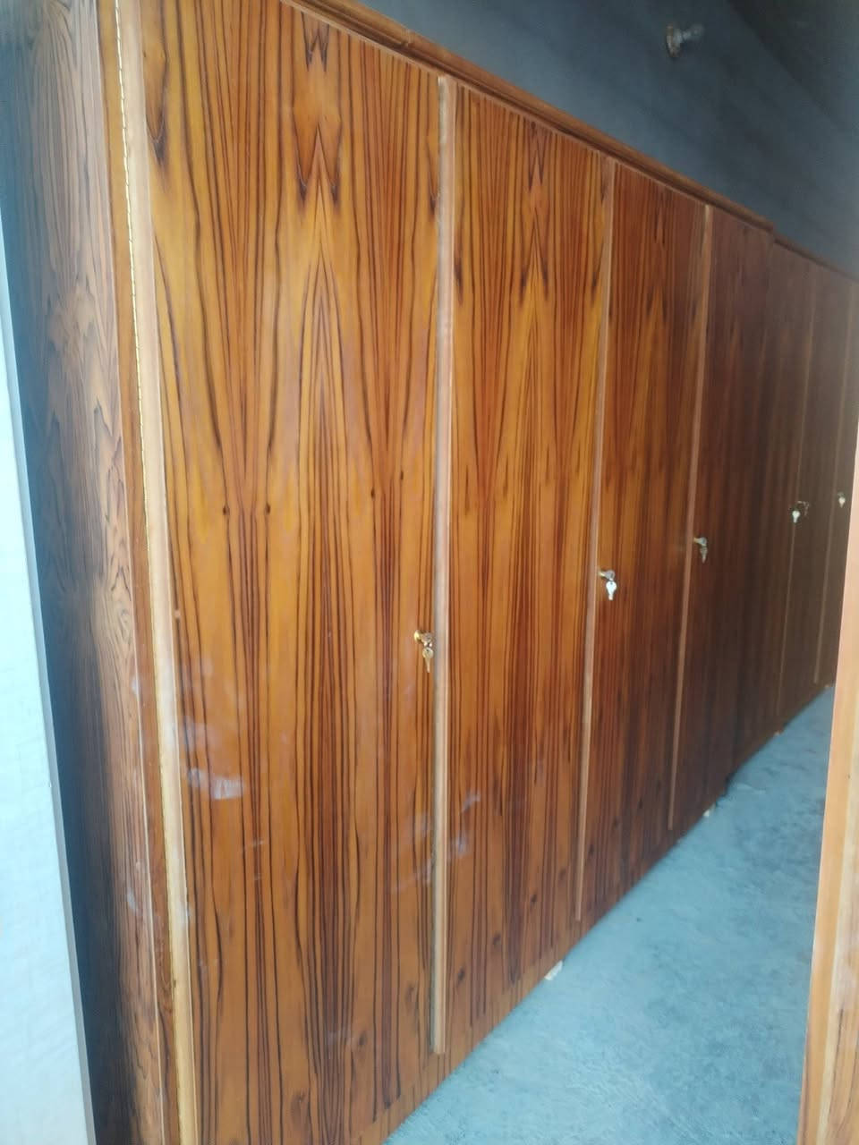 للبيع كلمن وسعره ورقم الهاتف او واتساب ***********
