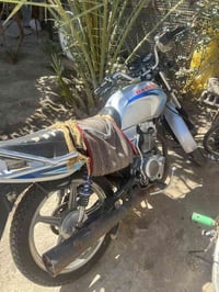 دايوان • بدون أوراق