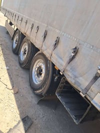 اشمتز شاصي • مكفول • سقف جديد