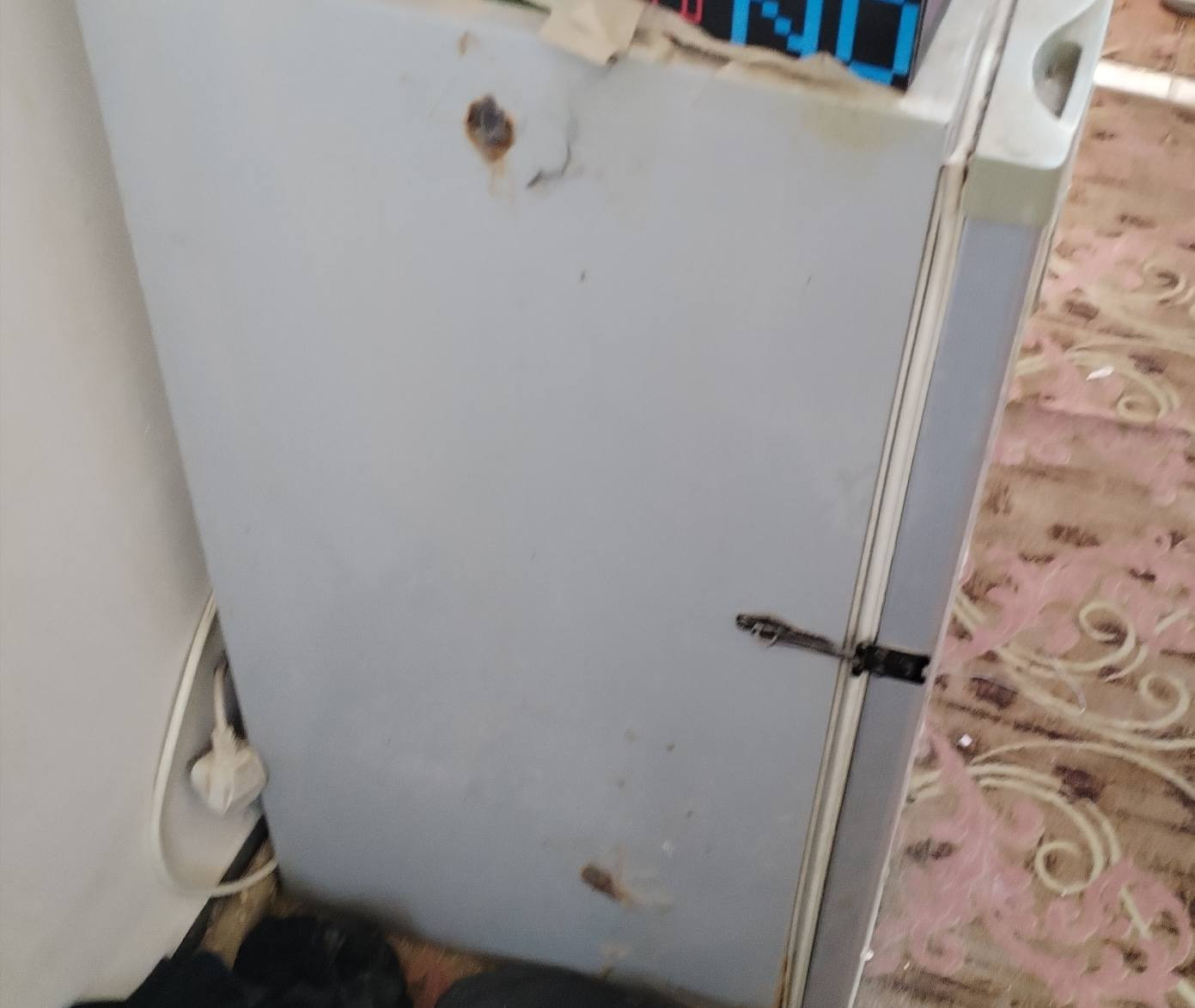 مفقصة افراخ دجاج عدد٢.. سعر ١٢٥.عنوان حي العامل.. قرب ساحة الاحرار.. هاتف*********** كربلاء, العراق
