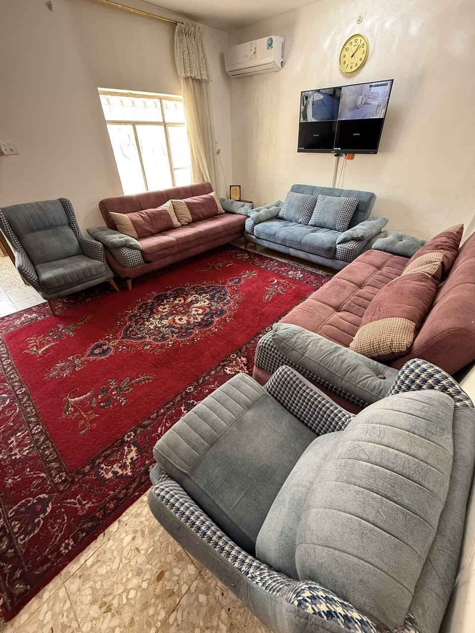 تخم قنفات 10نفرات للبيع نظيف جدا 

للاستفسار واتساب ***********
