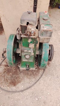 مولده لبيع لستر 8 حصان راس توليد 10 مكانه بغداد سعر 550 رقم هاتف 07867...