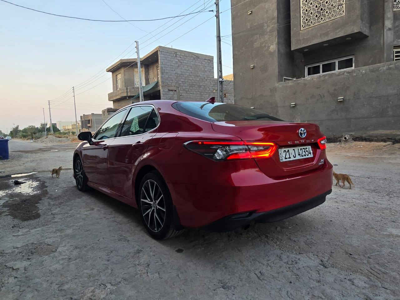 السلام عليكم 
للبيع فقط 
تويوتا كامري هايبرد 2023 XLE 
وارد أمريكي فول مواصفات  XLE 
بانزين + هايبرد 
ماشيه 11 ألف ميل يعني زيرو 
بصمة ، تشغيل عن بعد ، بصمة أبواب ، كشنات تدفئة سايق والنفر +ستيرن هيتر + مرايات هيتر  ، شاشة ايباد ، دشبول ديجيتال ، شحن لاسلكي واير ليس ، كشنات كهربائي ، وضعيات قيادة سبورت +نورمال+ ايكو + حساسات امامي خلفي + رادارات امامي رادار جانبي نقطه عمياء  + تحديد سرعة و مسار ، هاند بريك كهربائي إلكتروني ، تبريد قطعتين ، لايت LED امامي و خلفي ، وبعد بيها هواي مواصفات معروفة 
كير ومحرك و فحم كروز كلها بشرط ، بدون ايرباك بدون دواخل كلها بلادي 
ضررها كما موضح بلصوره 
مكان السيارة الانبار_فلوجه  
سعر : 240$ وبيها مجال بسيط.
للتواصل : 
***********
***********
