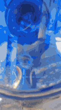 ستوته • موديل 10 • كفالة عامة