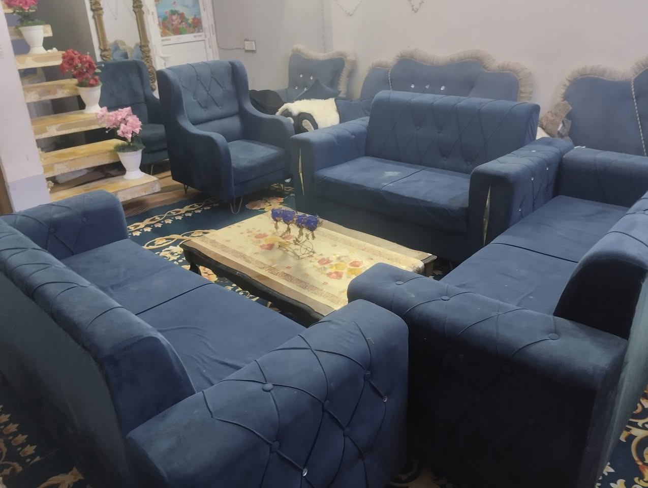 تخم قنفات للبيع خمس قطع 10 نفرات تسكام مو سوكي سعر 325 وبي مجال بصيط كلش اي ستفسار متواجد ع خاص او وات ساب ***********
