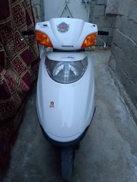 سبيسي ياباني • كوت النوار