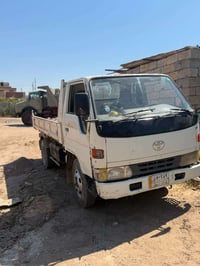 فحل راس الثور