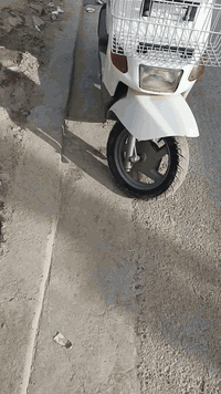 السلام عليكم بيكم شلعه معدل سلف هندر كابريتر اصلي شرط الفحص تتفه يداد كيلو متر عداد كهربائيات كامله استان صفح كهربائي دراجه كل نقص مابيهه شرط الفحص سعر ٥٠٠ مكاني بغداد الحبيبيه قرب مطعم وليد ابو الكص ***********
