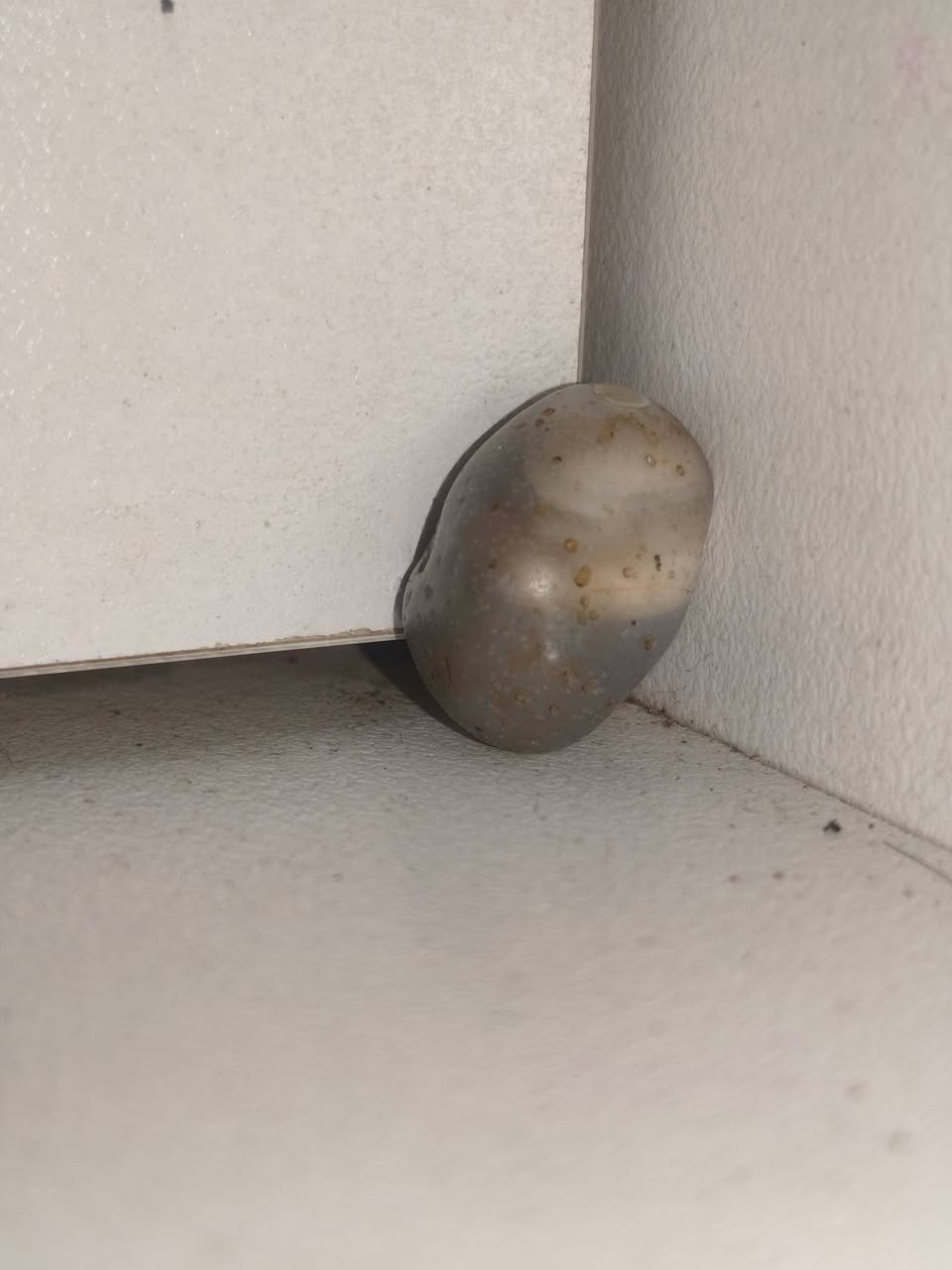 السلام عليكم متاح خام سليماني رصاصي  عطف  قديم


**إذا كنت صاحب هذا الإعلان وتريد حذفه لأي سبب، رجاءا أرسل رسالة إلى الدعم الفني**