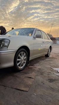 ملكه • رقم كركوك • راعي واحد