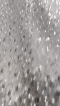 👰‍♀️ فستان عرس… حلم كل عروس 👰‍♀️
لأنك الملكة بهاليوم،
فستان العرس هذا مصمم ليحكي عنك قبل ما تحكي ✨
🤍 تصميم أنيق يبرز الجمال
🤍 خامات فاخرة ولمسة ناعمة
🤍 تفاصيل دقيقة تخطف الأنظار
🤍 راحة وأناقة بنفس الوقت
بهالفستان…
راح تعيشي لحظة ما تننسي،
وتكوني الأجمل بدون منافس 🤍
📩 للحجز والاستفسار راسلينا :***********
🚚 توصيل متوفر   
📏 قياسات حسب الطلب
#فستان_عرس
#عروس_2026
#أناقة_العروس
#ليلة_العمر
