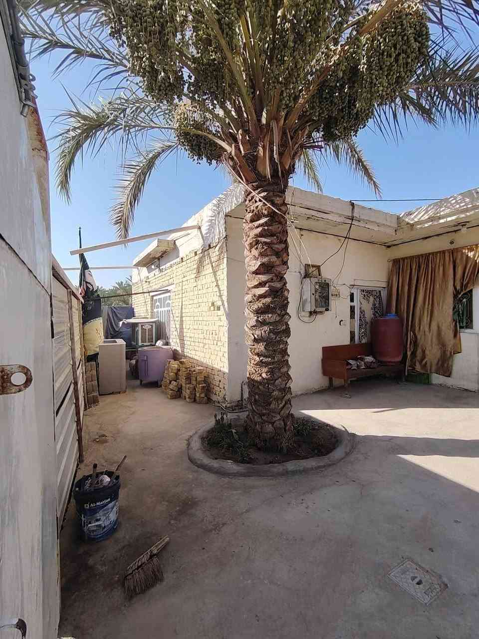 سلام عليكم بيت للبيع صلاح زراعي مساحته 150متر مربع متكون من غرفه النوم وصاله ومطبخ وصحيات وطارمه  شارع 80من جهه كربلاء قريب من جامع الرحمان السعر 25وبي مجال اتصل وبيك خير ودلل *********** اتصال لو واتساب
