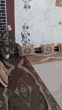 السلام عليكم ورحمه الله دار للبيع المساحه 150متر العنوان قاطون الرازي قرب مدرسه التربيه رقم الهاتف  ***********
