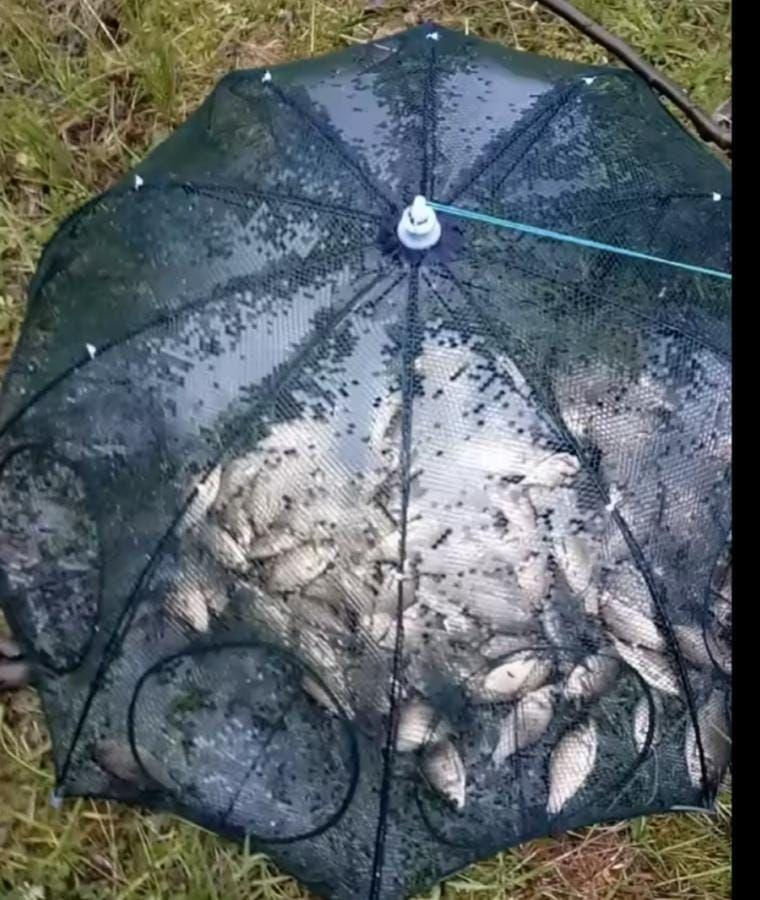 🐟🐠🐡🦀🦞🦐🦑

*جوبيا+صيد+الاسماك*

عبارة+عن+شبكة+عنكبوتية🕸️+تدخل+الاسماك+من+الجيوب+لتاكل+بداخلها+ولا+تعرف+الخروج+مرة+اخرى🤪🤪+جيوب+الدخول+تختلف+عن+جيوب+الخروج+يدخل+فيها+جميع+انواع+السمك+🦞🦀🐟 الصحراء الغربية


**إذا كنت صاحب هذا الإعلان وتريد حذفه لأي سبب، رجاءا أرسل رسالة إلى الدعم الفني**