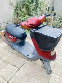 منغولي • نظيفه • حي البلدية