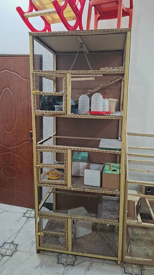 *********** ابو الخصيب, البصرة
