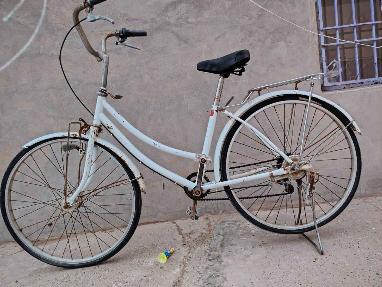 السلام عليكم
باسكل البيع حجم 26 باسكل نضيف 
تبديلات تايرات نضاف حساس شغال 
سعر خاص


**إذا كنت صاحب هذا الإعلان وتريد حذفه لأي سبب، رجاءا أرسل رسالة إلى الدعم الفني**