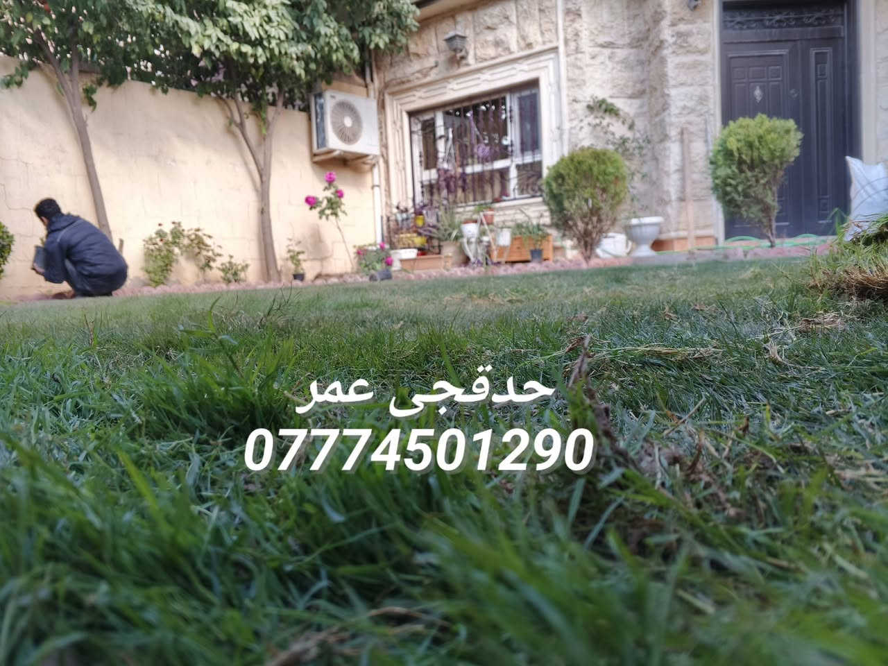 تنظيف حدائق تقليم الاشجار
تصميم وديكورات حدائق  
زراعة الاشجار والشتلات والورود والثيل بأنواعة هندي إيطالي 
ورقي فرنسي 
فرش زميج ترميم الحدائق القديمة وكل ما يخص الحدائق كركوك اقضية ونواحي 
*********** اتصال 
*********** واتساب
