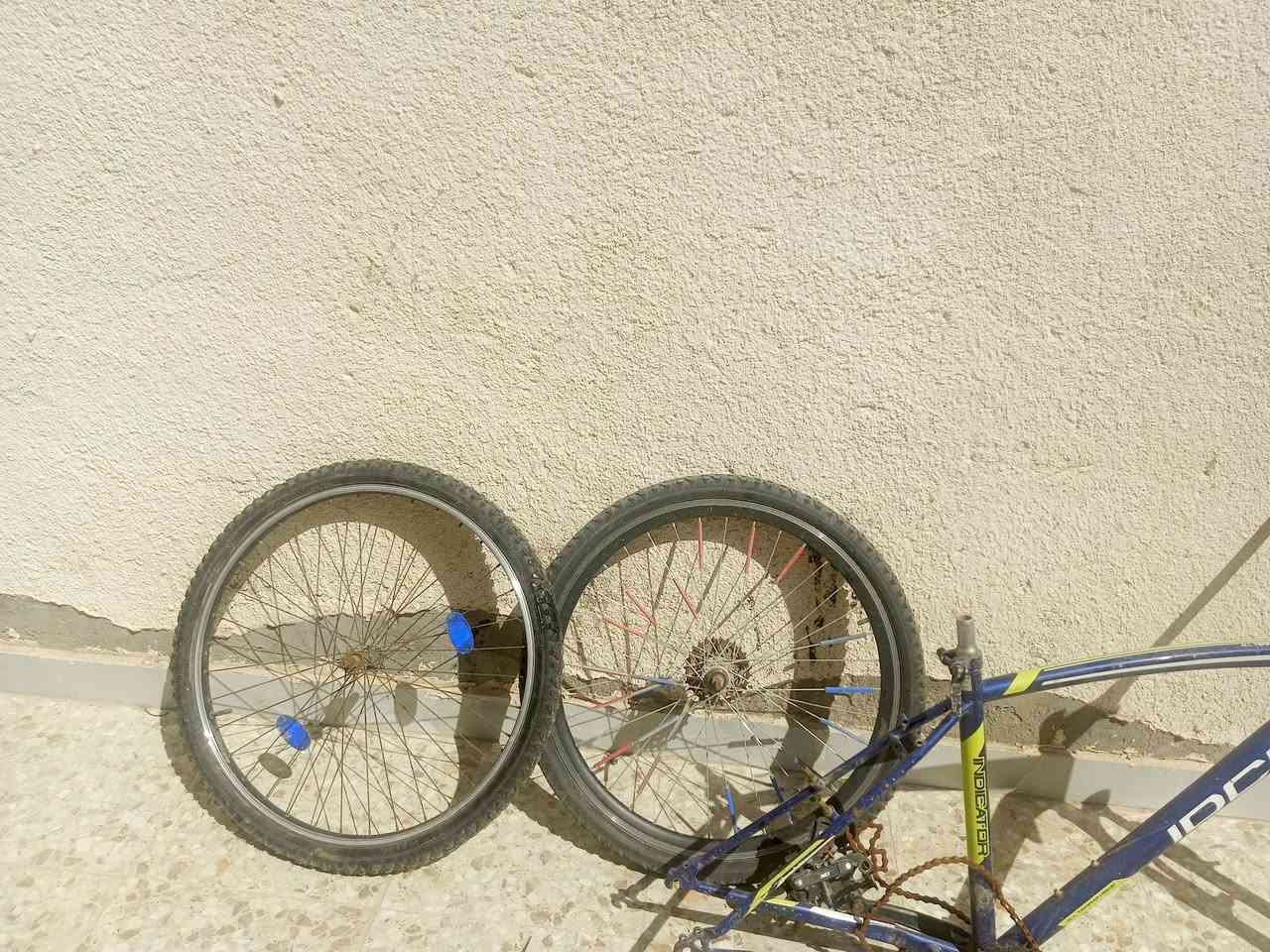 لشه مال بايسكل رياضي جديده باله هيه و اثنين اويلاله و تواير


**إذا كنت صاحب هذا الإعلان وتريد حذفه لأي سبب، رجاءا أرسل رسالة إلى الدعم الفني**