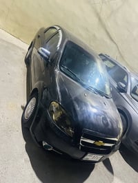 أفيو • زاخو • معرض زانا