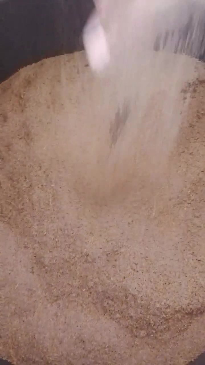 بذور خس للبيع درجه اولى نضيف  مثل ما في الصوره لاستفسار لاتصال على هذه الرقم او المراسله على الواتساب ***********
