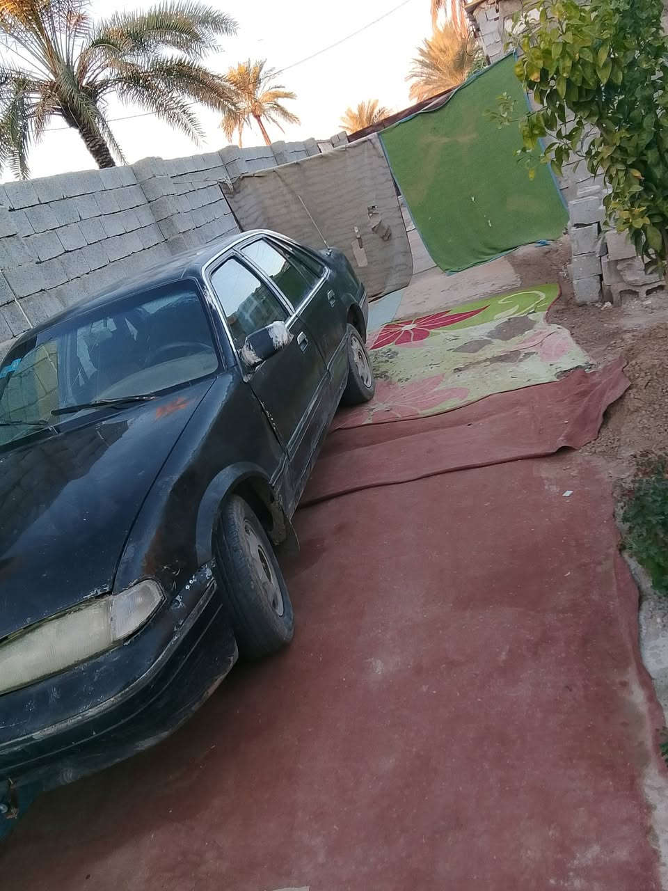 برنس فراشه 96 رقم ديالى بسمنه رقم إنكليزي مكينه كير نظيفه شواصي نظيفه سعر اخو البلاش سعر سايبه السعر 20 بيه مجال حك الجيه والكشر شوف العين هذا الموجود المكان تاجي *********** بي وتساب
