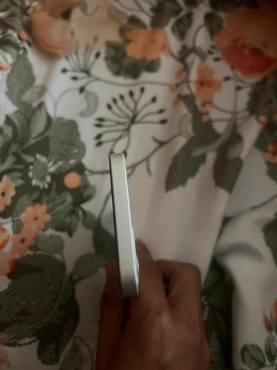 12عادي مراوس ب 12بر ماكس


**إذا كنت صاحب هذا الإعلان وتريد حذفه لأي سبب، رجاءا أرسل رسالة إلى الدعم الفني**